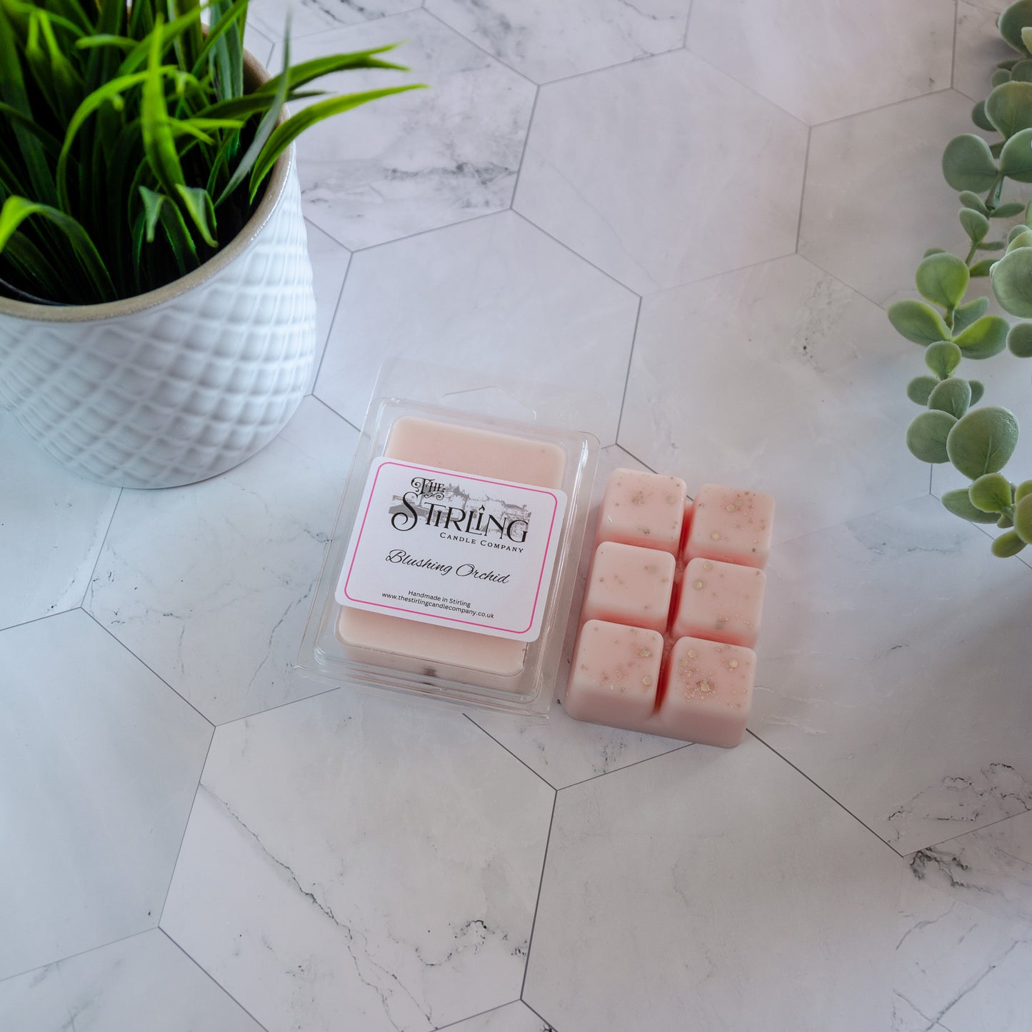 Clamshell - Blushing Orchid - The Stirling Candle Company