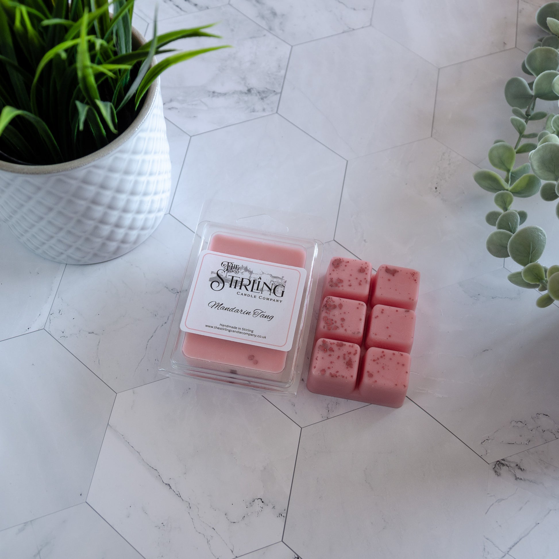 Clamshell - Mandarin Tang - The Stirling Candle Company