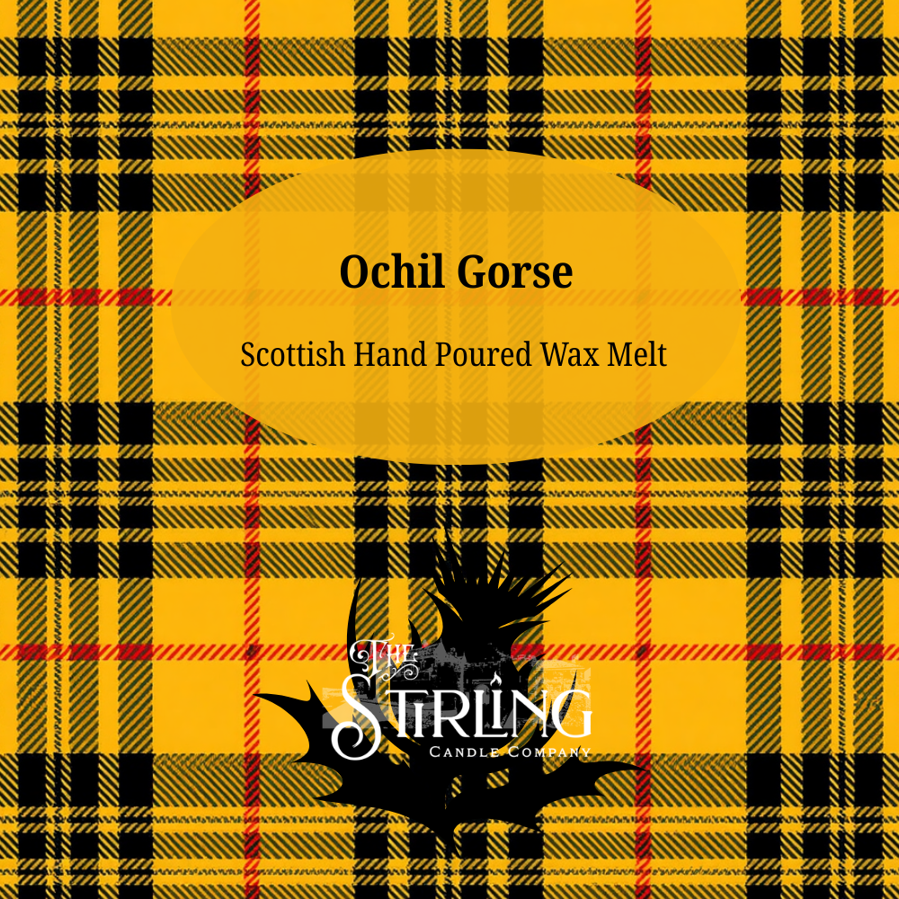 Ochil Gorse - Wax Melt Clamshell